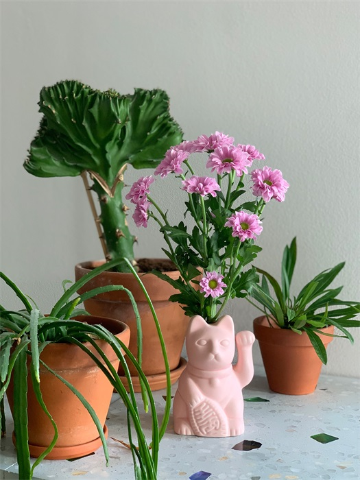 Pink Chat Channel perfume diffuser