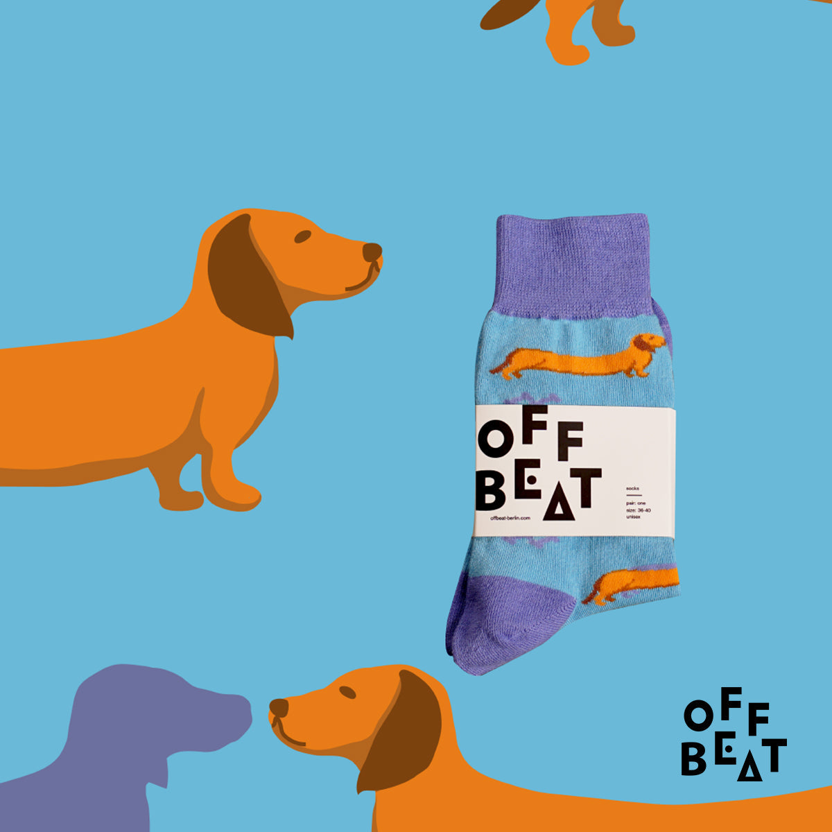 Chaussettes Teckel