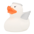 Canard Ange Blanc