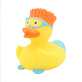 Canard Snorkeling