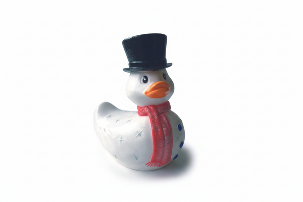 Eend Sneeuwpop