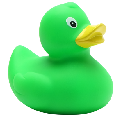 canard classique vert