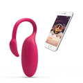 Roze Flamingo Kogel Roze