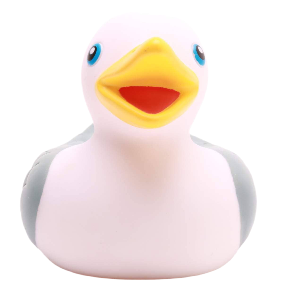 Bathing seagull