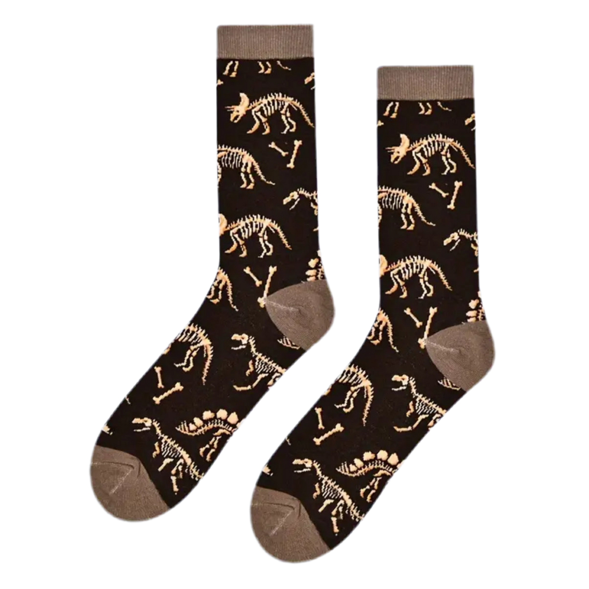 Chaussettes Fossiles de Dinosaures