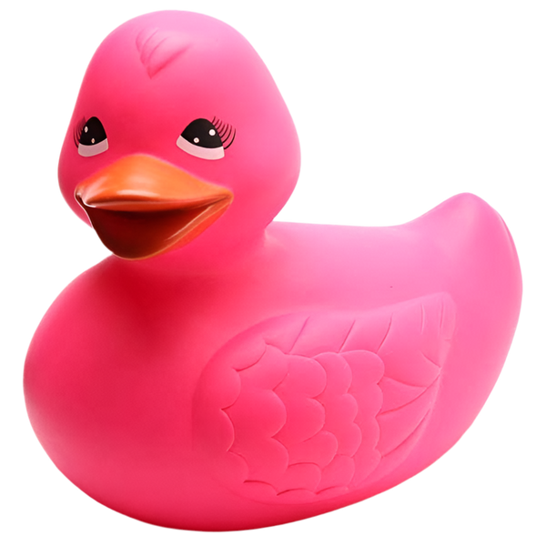 canard xxl rose