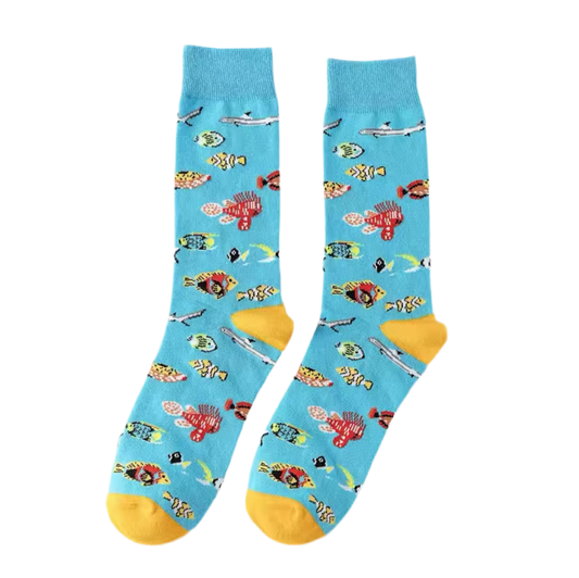 chaussettes poissons exotiques mrcol