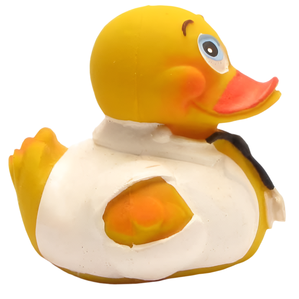 Dokter Eend