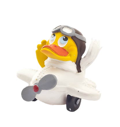 Duck Pilot-vliegtuig