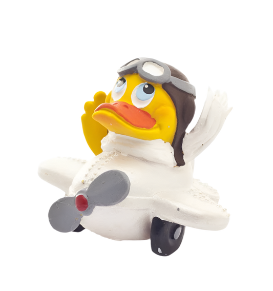 Canard Pilote d’avion