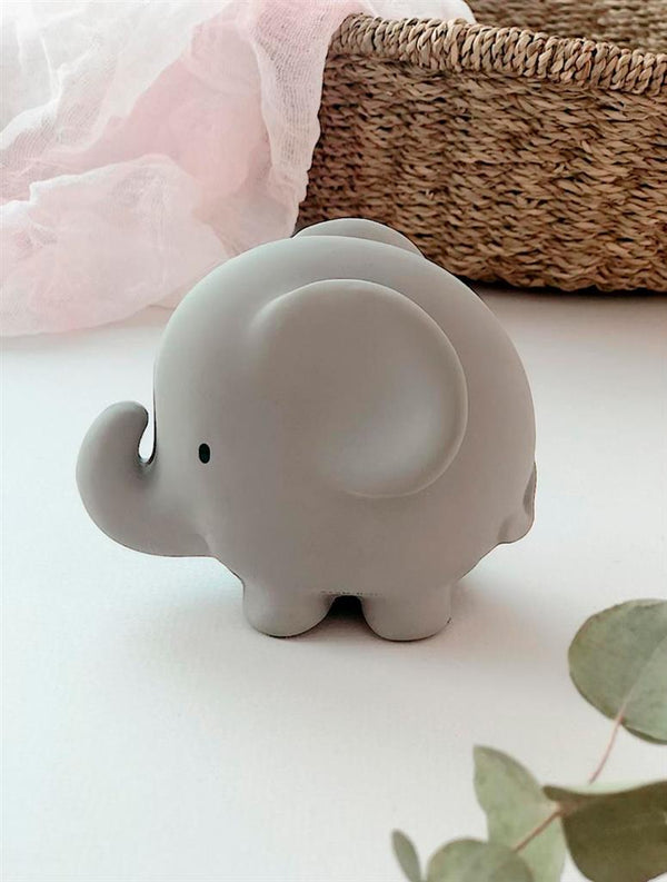 Mijn eerste dierentuindier: een olifant