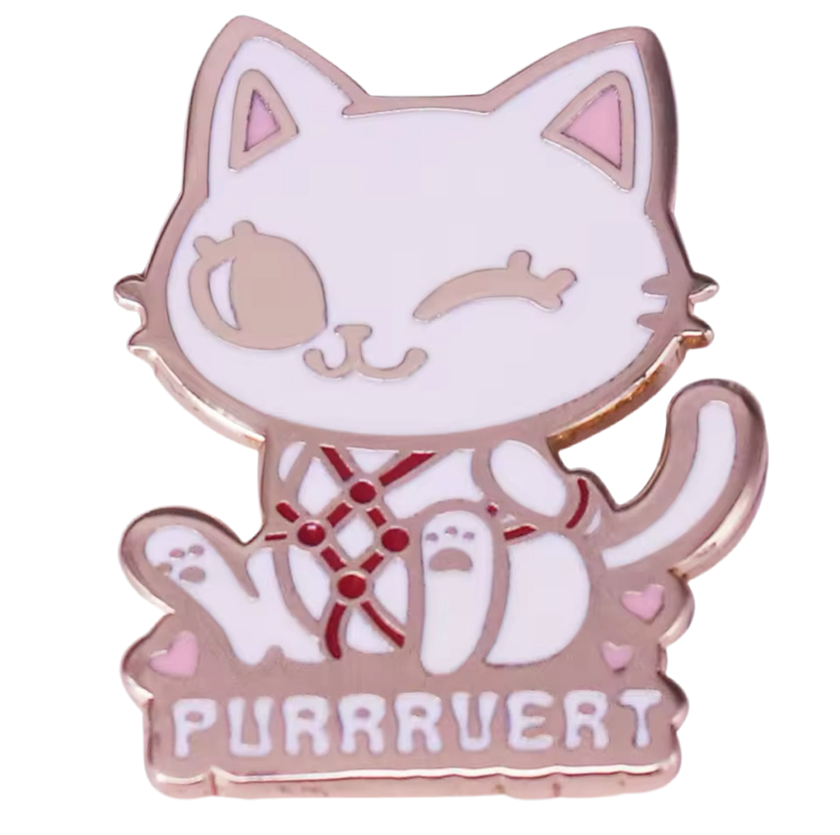 pins chat chapuccino copie