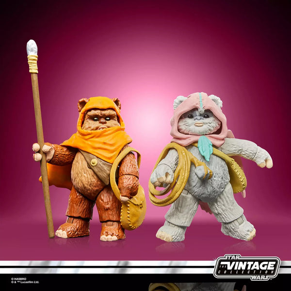 Star Wars De Vintage Collectie Wicket en Kneesaa
