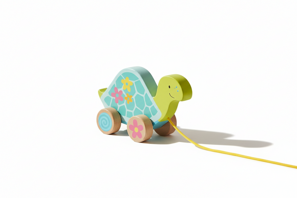 Pull-along animal - Turtle
