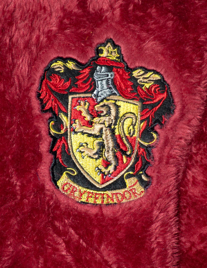 Fluffy Hooded Sweatshirt - Gryffindor