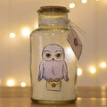 HARRY POTTER - Hedwig - Lichtgevende lantaarn - 17 cm