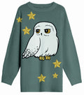 Pull de Noël Harry Potter - Hedwige Etoiles