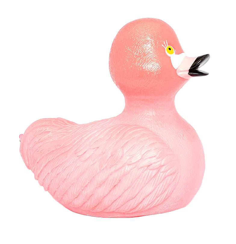 Canard Flamant Rose