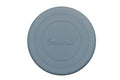 Eend Blauwe Frisbee