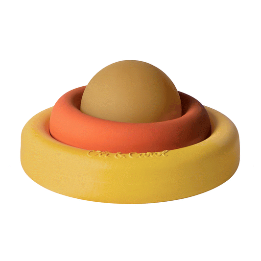 The Evolving Toy