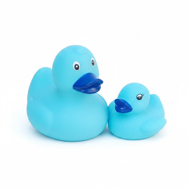 Canard Classique