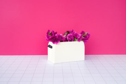 Ceramic toaster