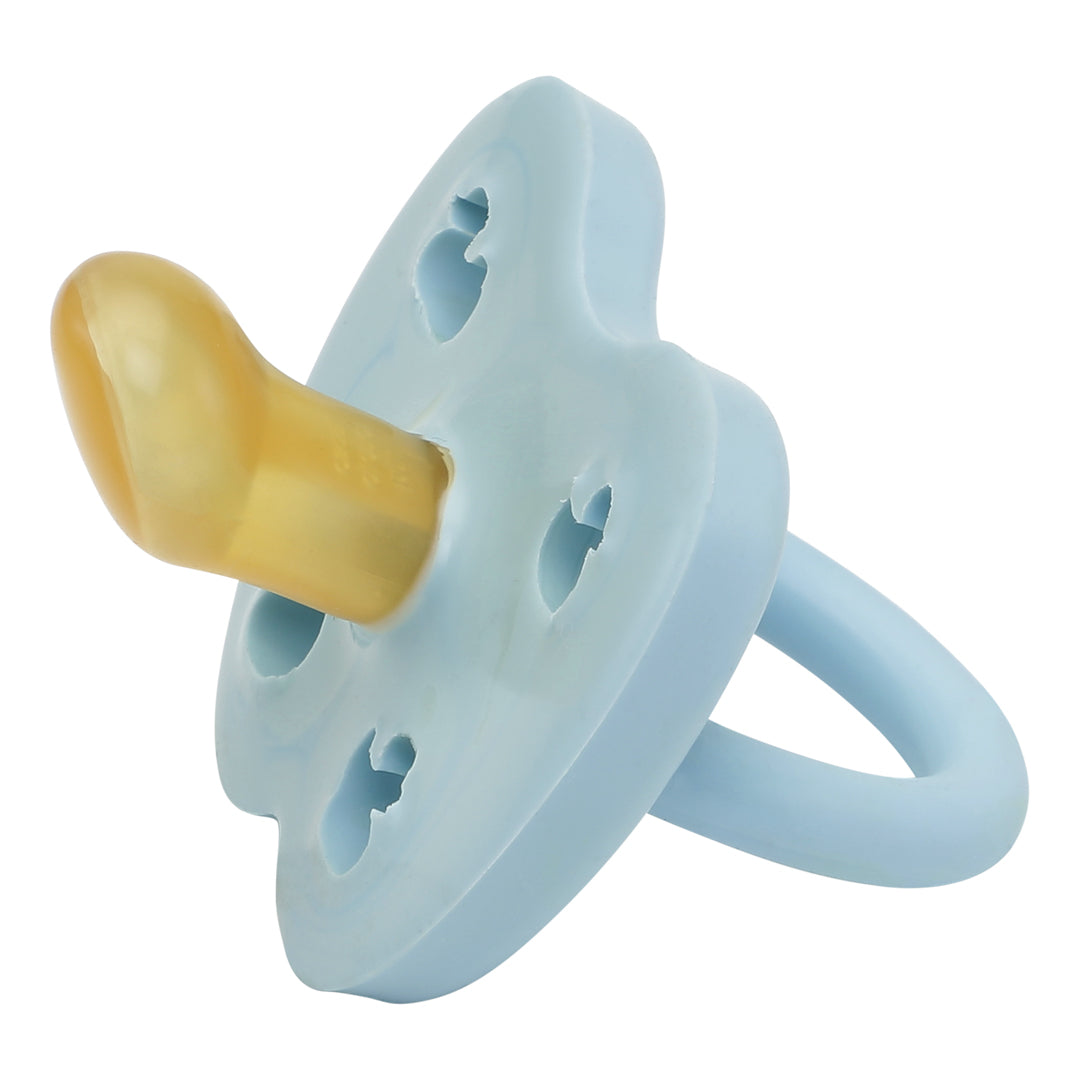 Baby Blue Duck Labb
