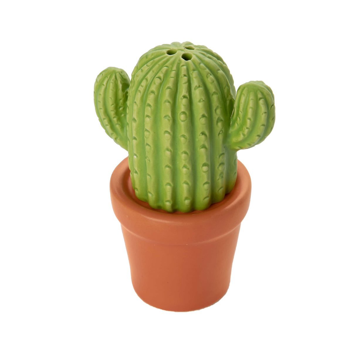"Cactus" salt and pepper shakers