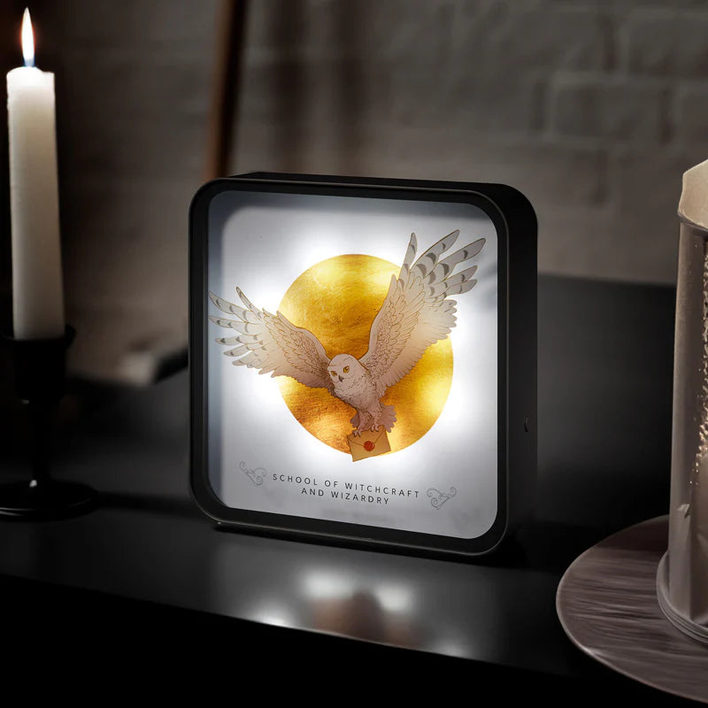 Harry Potter 3D Lamp - Hedwig