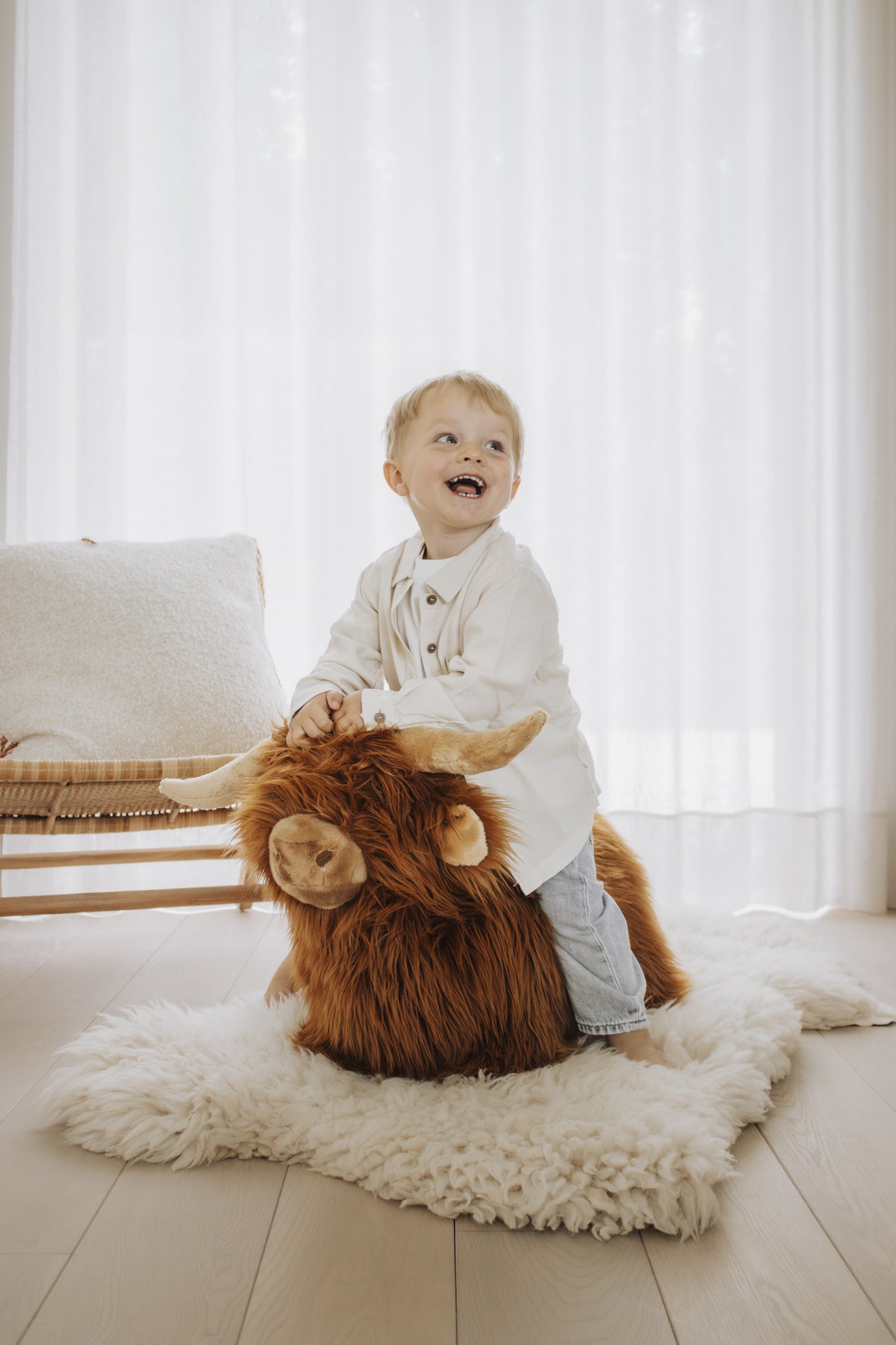 Wild & Soft Bouncy Highland Cow