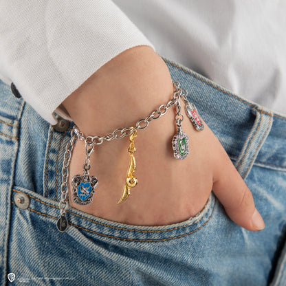Set of 2 Slytherin charms
