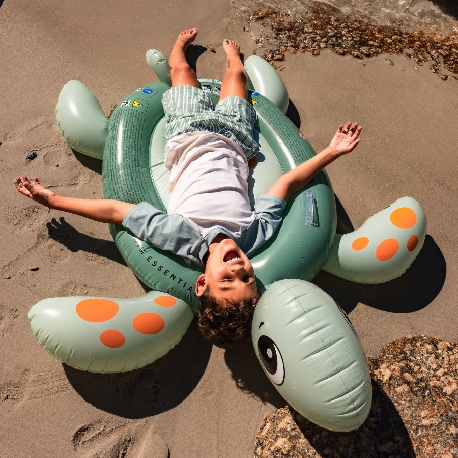 Pool Float Turtle - Multicolor - Dreamscape