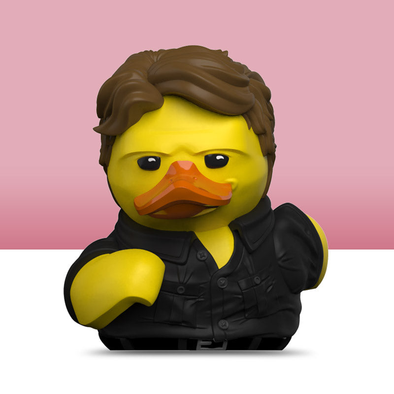 Canard Johnny Castle