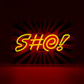 'S#@!' Large Glass Neon Box Sign
