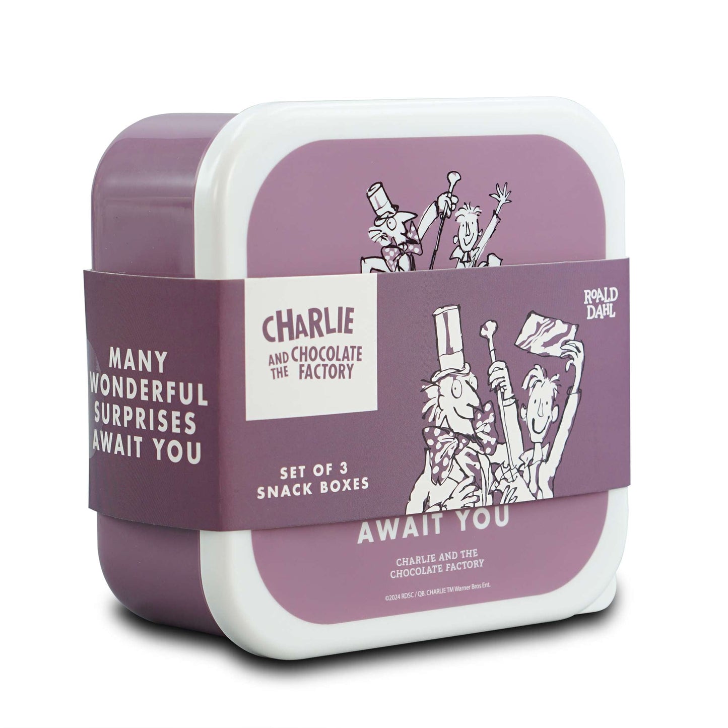 Set of 3 Roald Dahl Charlie Snack Boxes