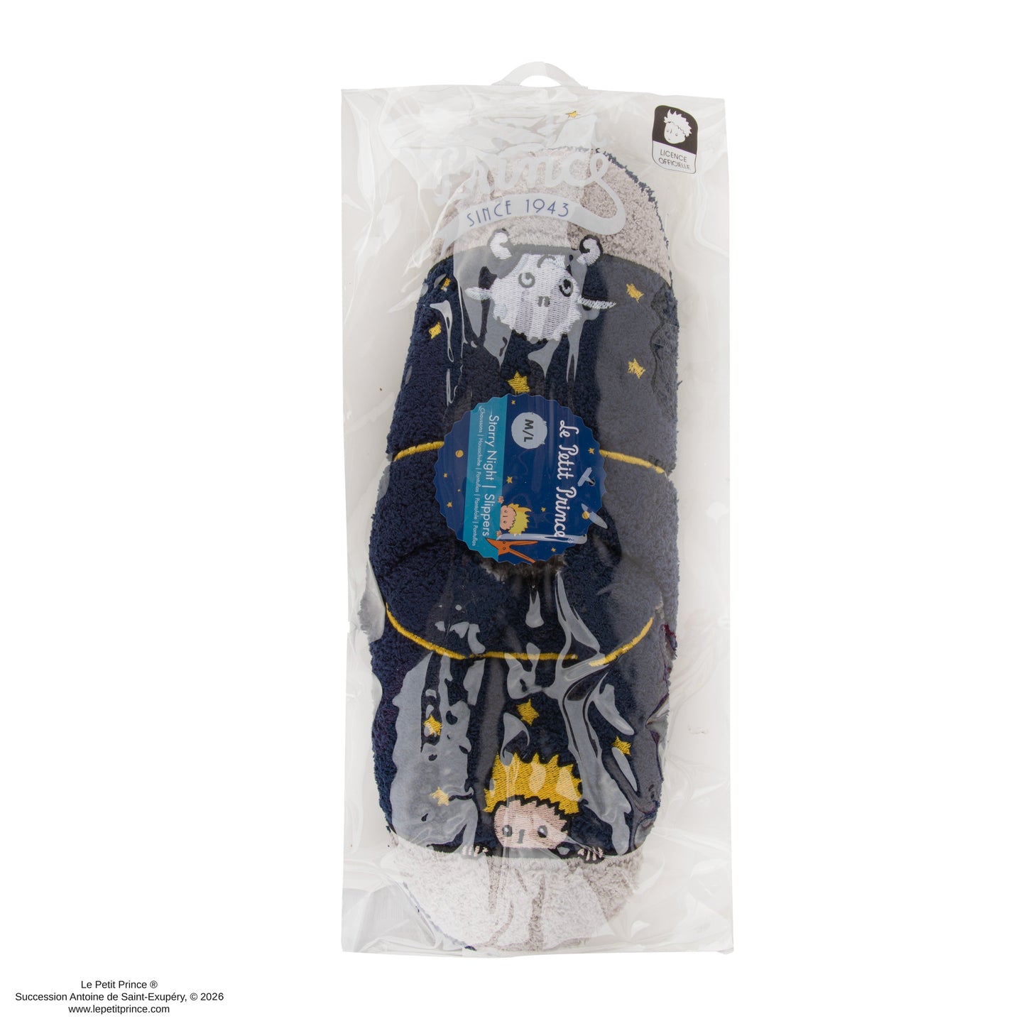 Starry Night Slippers