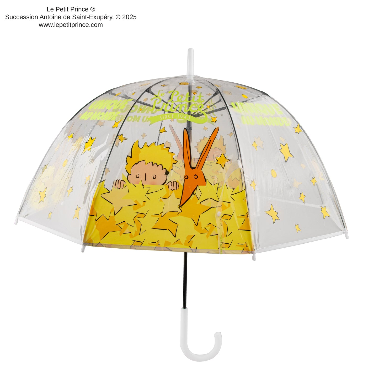 The World's Only Transparent Umbrella