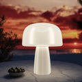 Lampe Solaire Champignon Boleti