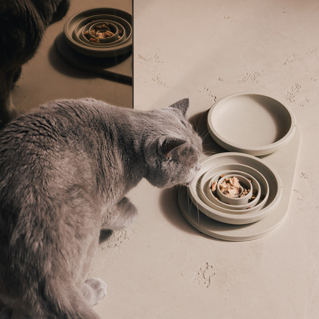 Voerbakplateau voor katten – productweergave 7