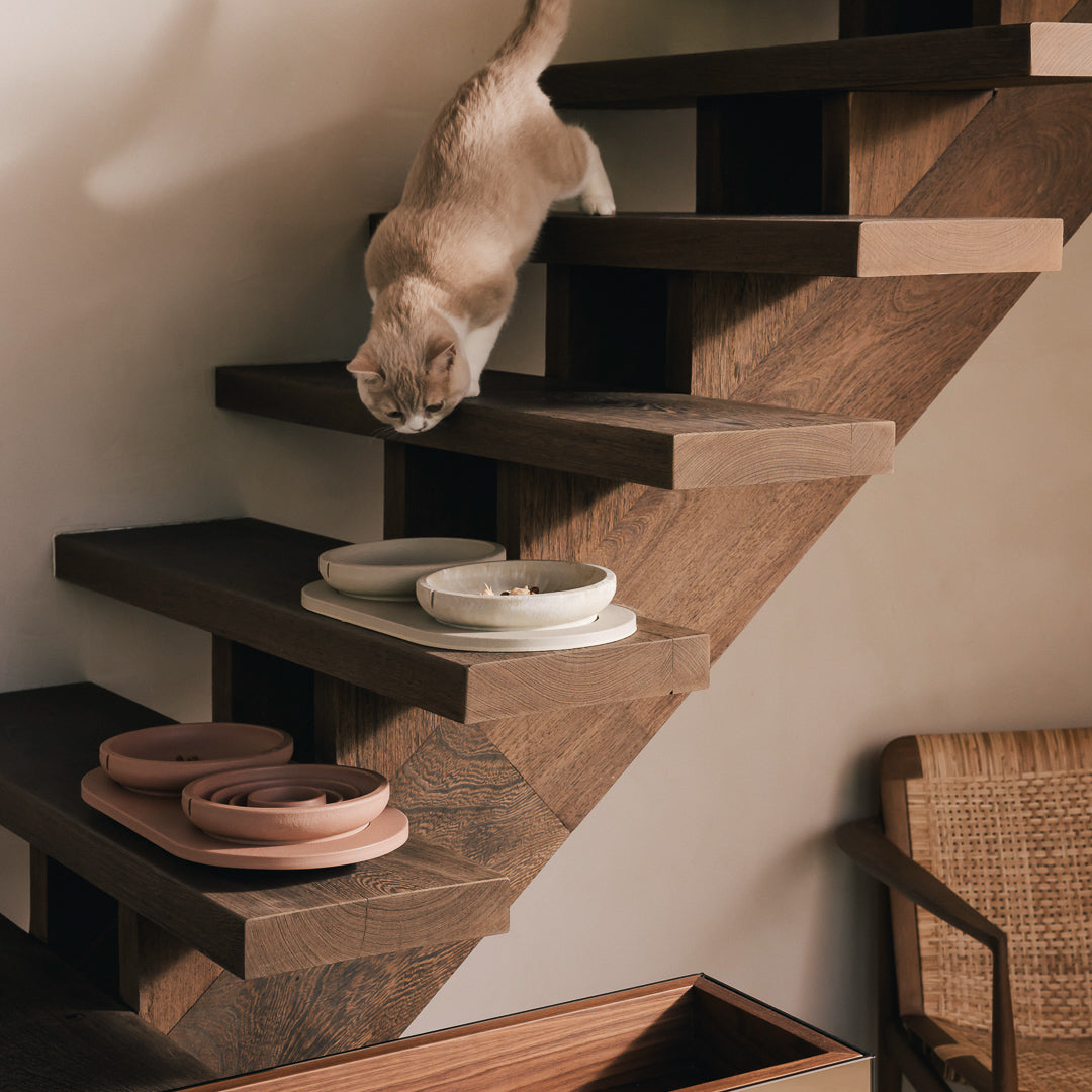 Voerbakplateau voor katten – productweergave 11