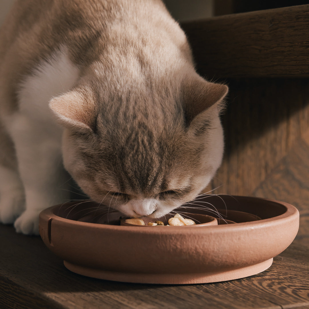 Anti-schrokvoerbak voor katten – productweergave 13