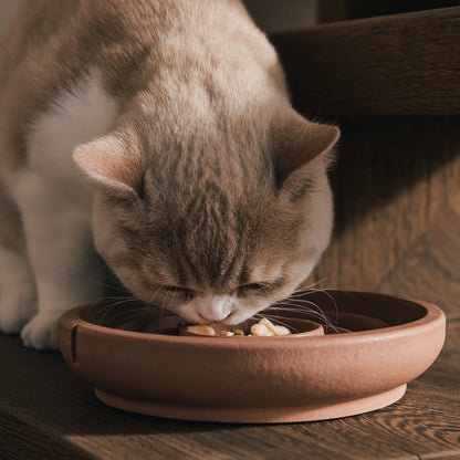 Anti-schrokvoerbak voor katten – productweergave 13