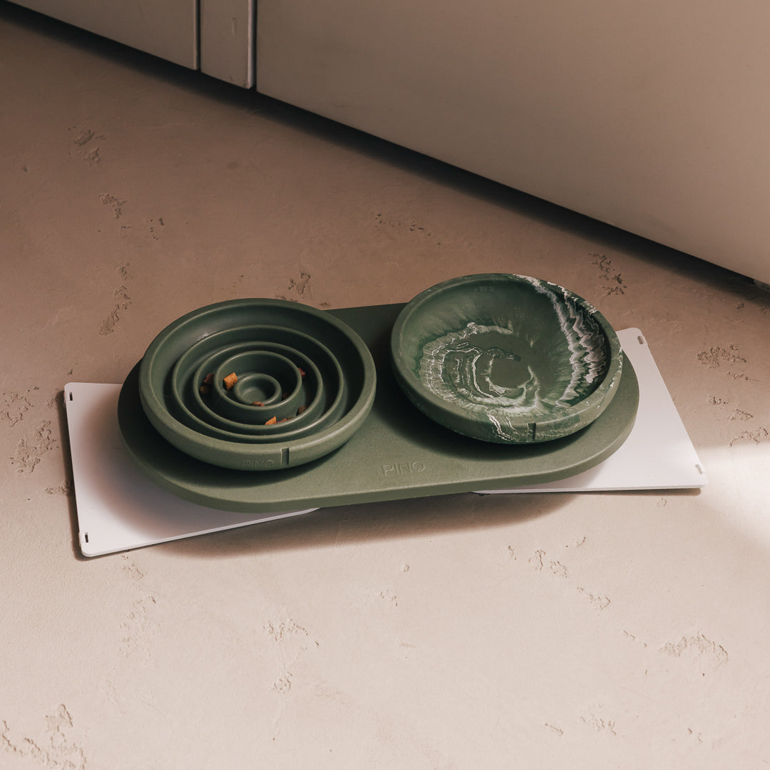 Anti-schrokvoerbak voor katten – productweergave 16