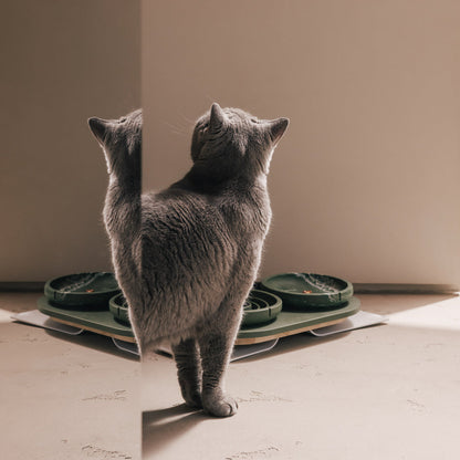 Voerbakplateau voor katten – productweergave 12