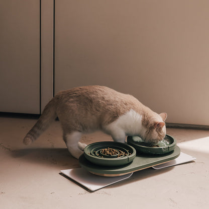Voerbakplateau voor katten – productweergave 13