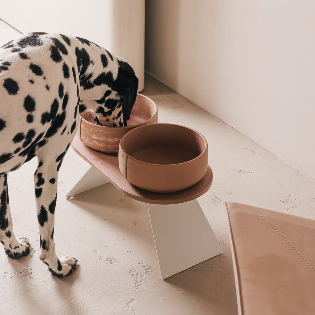 Perfect Posture set voor honden – hoofdweergave