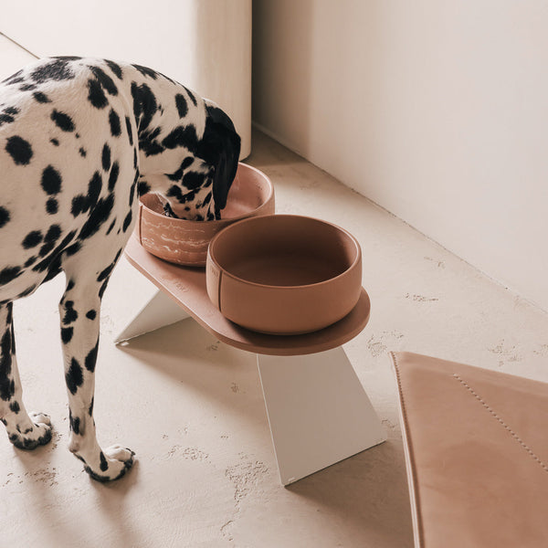 Perfect Posture Set für Hunde – Hauptansicht