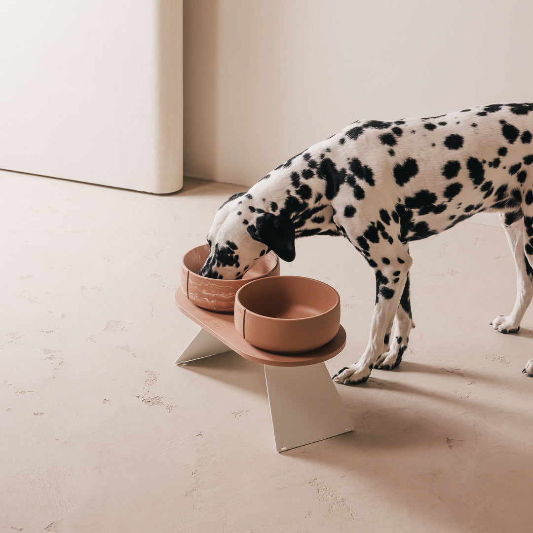 Perfect Posture set voor honden – productweergave 8