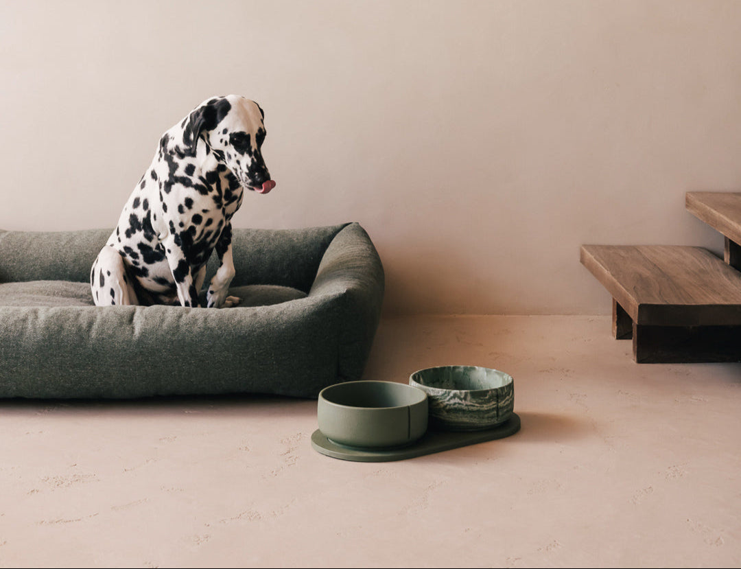 Voerbakplateau voor honden – productweergave 54