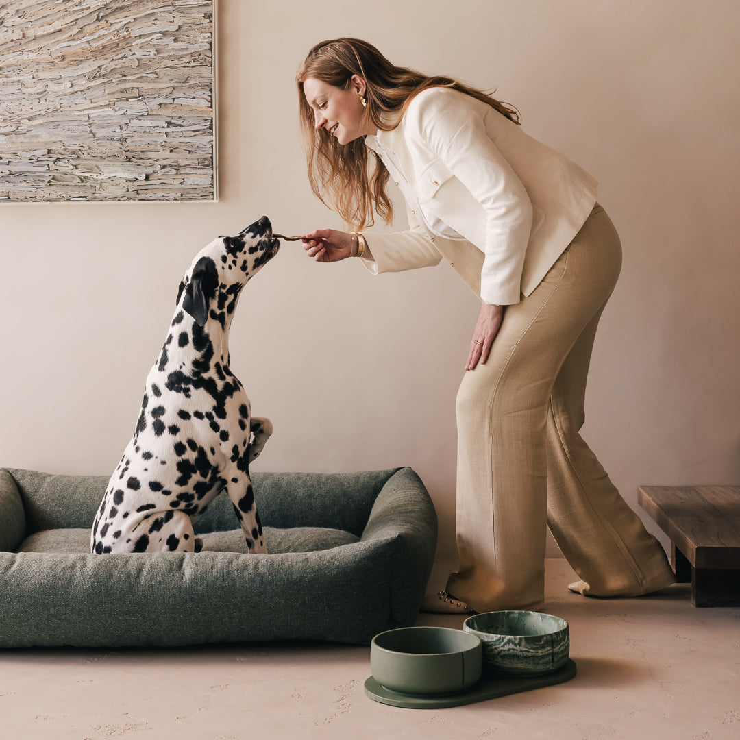 Voerbakplateau voor honden – productweergave 41